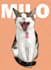 draw your dog cat or pet animals in vector art illustration