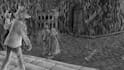draw professional black and white illustrations