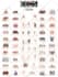 draw anything by adobe illustrator and photoshop