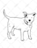 turn your pet photo into a beautiful line art drawing