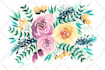 do pretty watercolor illustrations