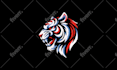 logo vector tracing, manual vector tracing and convert raster to vector