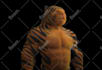 draw and generate 10k nfts , pixel, 2d, 3d nft art