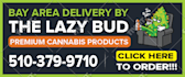 create newspaper ads, magazine ads, flyers