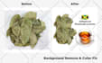 enhance online product pictures