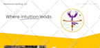 do squarespace, wix,wordpress and duda SEO services for google ranking