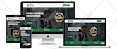 design divi wordpress website with divi theme