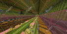 be your professional minecraft map builder