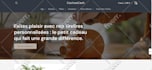 do shopify coding and fix shopify bugs