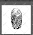 create hand drawn logo vintage western and illustration