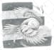 draw a surrealist or fantasy illustration