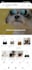 build shopify store design shopify website redesign shopify dropshipping store