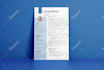 design your professional CV or resume