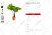 customize shopify dawn horizon theme using liquid HTML CSS javascript