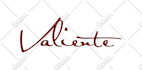 do modern signature logo design