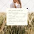 deliver 500 pro canva templates to go viral