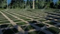 do 3d terrace, pool front and backyard landscape design