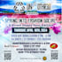 create eye catching birthday party flyer design in 24 hours