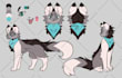 draw a ref sheet for your animal oc