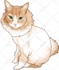 draw your dog cat or pet animals in vector art illustration