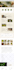 do professional wordpress website design and website development for businesses