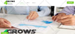 do full SEO optimization of your website