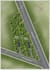 do architectural site plan rendering and layout drawings
