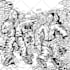 draw a hardcore punk rock chaos graffiti illustrations