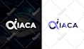 design a professional and custom logo for your brand