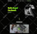 create a responsive wordpress website or landing page design