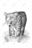 create an amazing and detailed pen and ink illustration