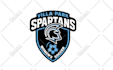 design a stunning league, club and sports team logo
