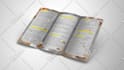 eye catching flyer designs that stand out