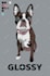 create for rug maker, pet drawing, people portrait