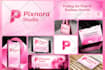 design a powerpoint presentation or investor pitch deck, business plan