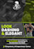 design stunning flyer, banner any graphics in 12 hours