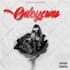 design your album  cover mixtape single artworks