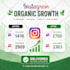 do instagram  marketing or promotion for fast organic growth