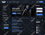 build professional wordpress website