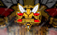 design sports team logo for league, events, tournament, championship and other