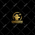 design a movie film production logo