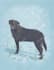 create a cute custom pet illustration in my style