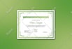 create a high quality professional flyer design