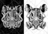 make illustration, horror, dark, and metal band artwork