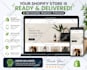 design,redesign or built shopify store design and shopify website development