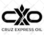 fix ai generated logo flaws and convert to vector quickly