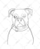 draw 12 hours pet portrait aesthetic one line art continues