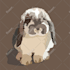 draw your pet with my style