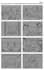 create industry standard professional storyboards