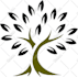 do any graphic design adobe photoshop and vector art